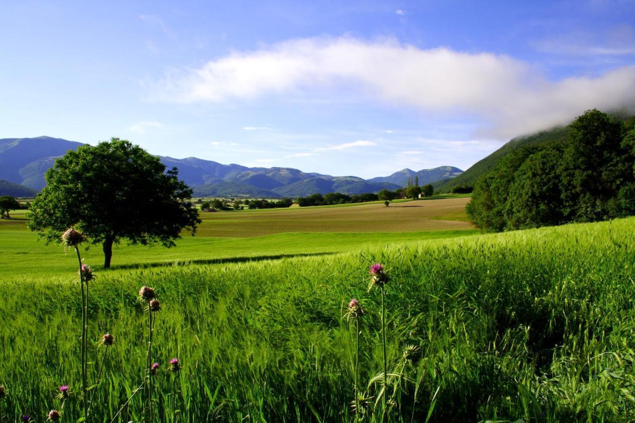 Agriturismo La Cascina Di Opaco Norcia Exterior photo