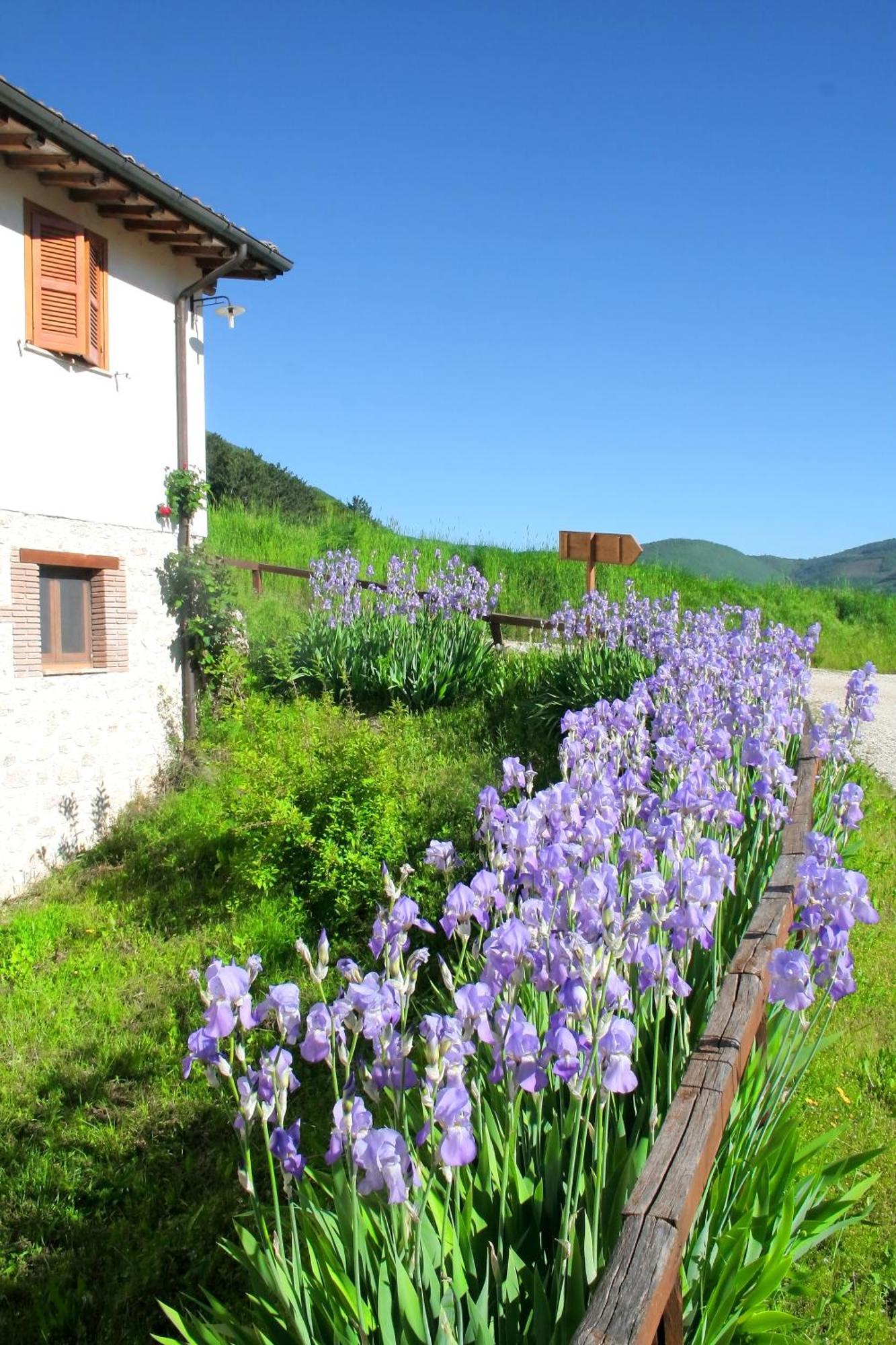 Agriturismo La Cascina Di Opaco Norcia Exterior photo